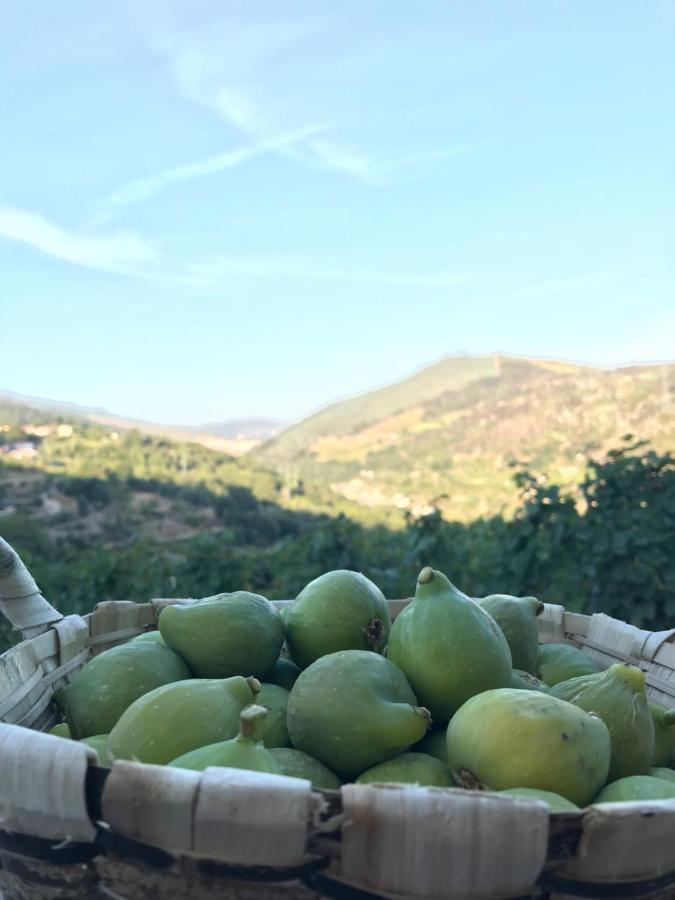 Private Douro- Quinta Das Susandas Mesão Frio المظهر الخارجي الصورة
