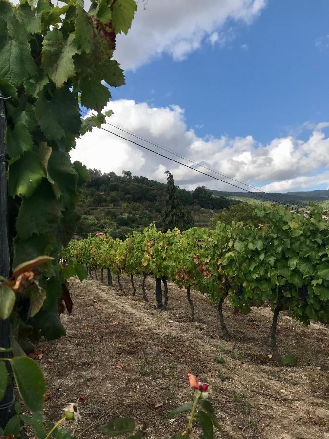 Private Douro- Quinta Das Susandas Mesão Frio المظهر الخارجي الصورة