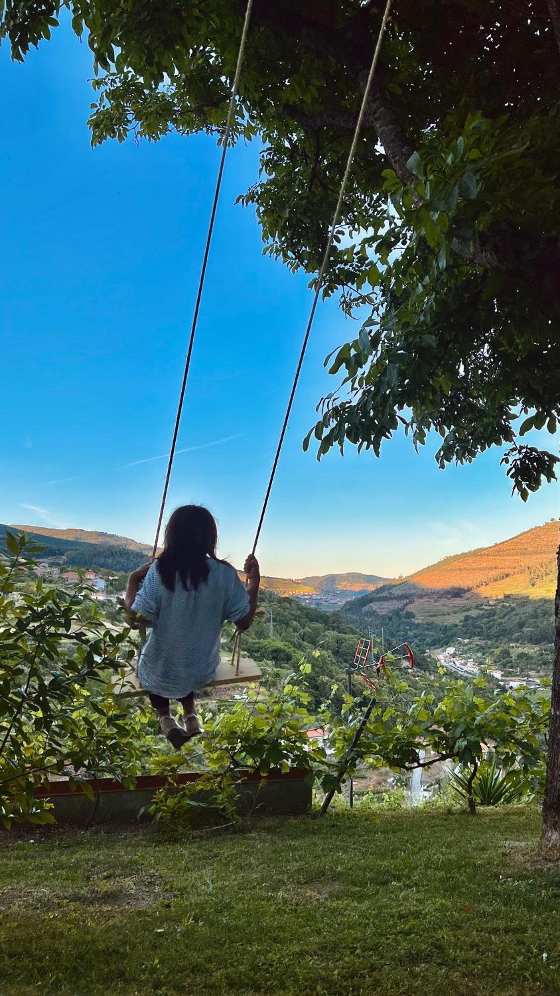 Private Douro- Quinta Das Susandas Mesão Frio المظهر الخارجي الصورة
